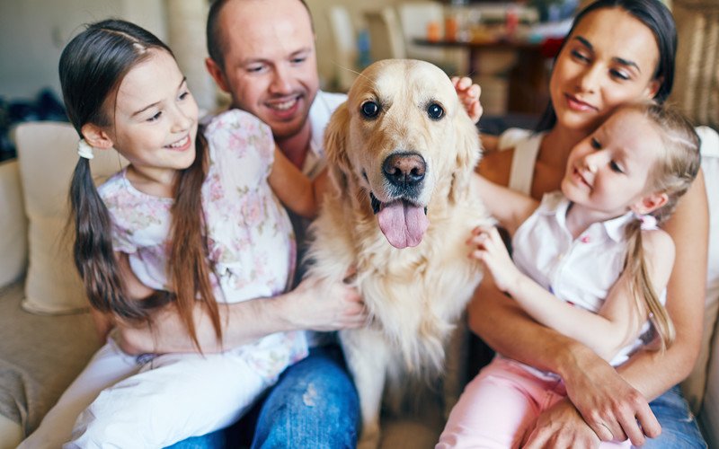 Faire garder son animal pendant les vacances