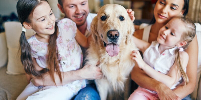 Faire garder son animal pendant les vacances